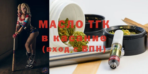 твердый Арсеньев