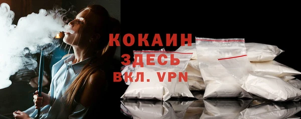 твердый Арсеньев