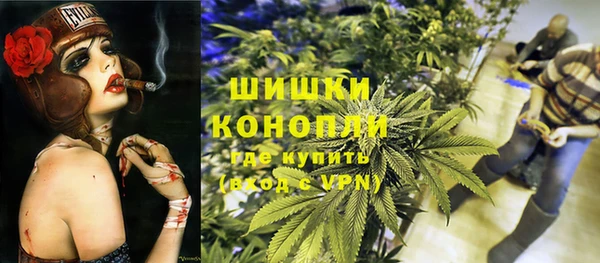 твердый Арсеньев