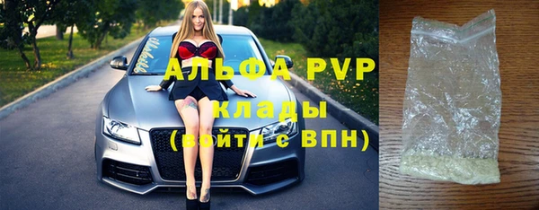 шишки Пересвет