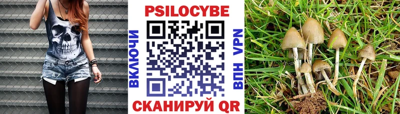 Псилоцибиновые грибы Magic Shrooms  цены наркотик  Советский 